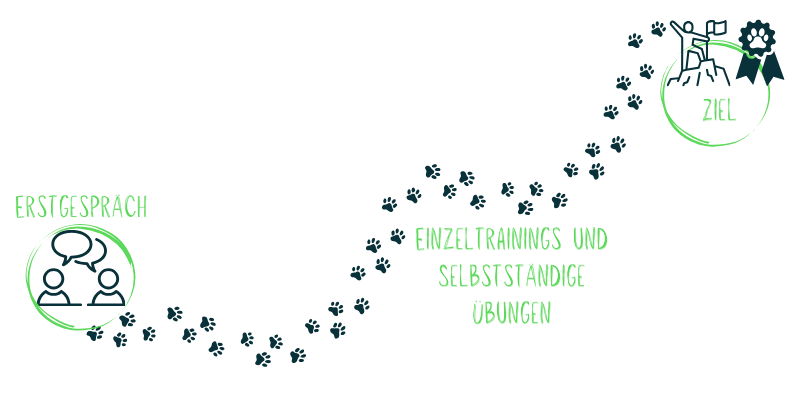 Grafik Einzeltraining